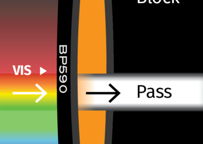 MidOpt BP590 Bandpass Filter Transmission Image