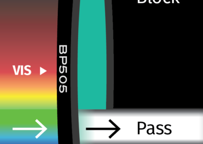 MidOpt BP505 Bandpass Filter Transmission Image