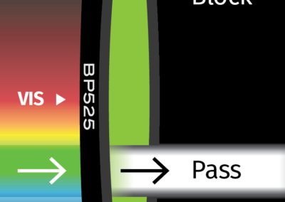 MidOpt BP525 Bandpass Filter Transmission Image