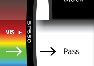 MidOpt BP550 Bandpass Filter Transmission Image