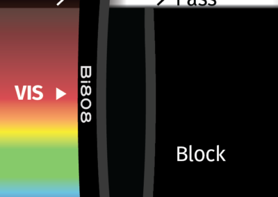 MidOpt Bi808 Bandpass Filter Transmission Image