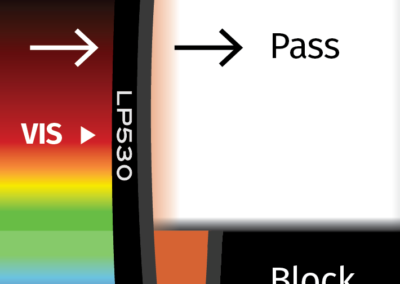 MidOpt LP530 Bandpass Filter Transmission Image