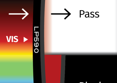 MidOpt LP590 Bandpass Filter Transmission Image